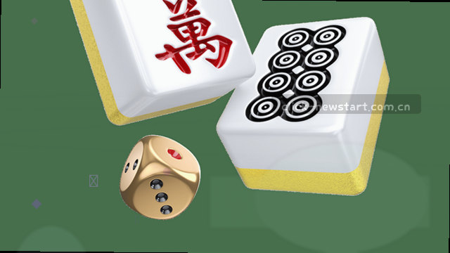 技术支持范围